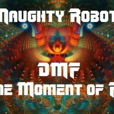 Naughty Robot - DMF Divine Moment Of Funk