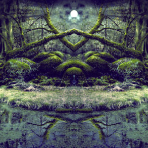 △ Dryad △ : Into The Swamp Of Trolls (Visionary Shamanics Radio Show Mix) - (Psytrance Thursdays)