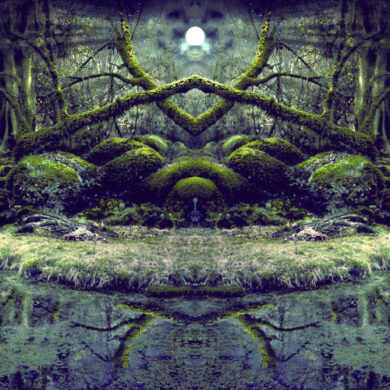 △ Dryad △ : Into The Swamp Of Trolls (Visionary Shamanics Radio Show Mix) - (Psytrance Thursdays)