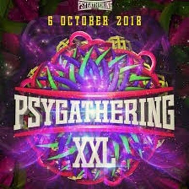 SynSUN : Live Set @ Psygathering XXL (retro fullon set) 06.10.2018